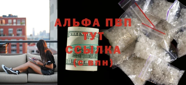 spice Богородицк