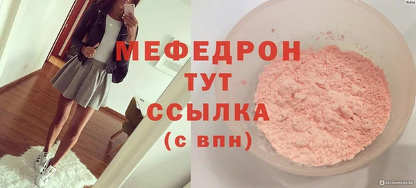 spice Богородицк