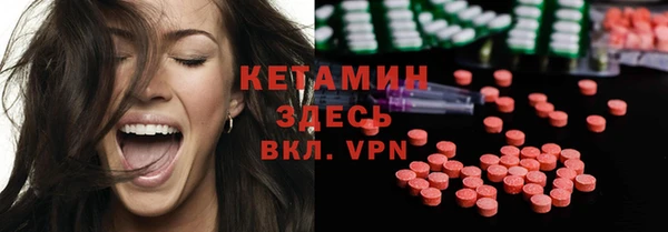 spice Богородицк