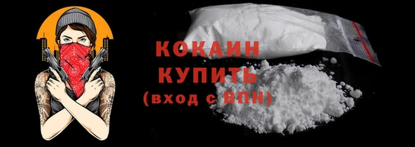 spice Богородицк