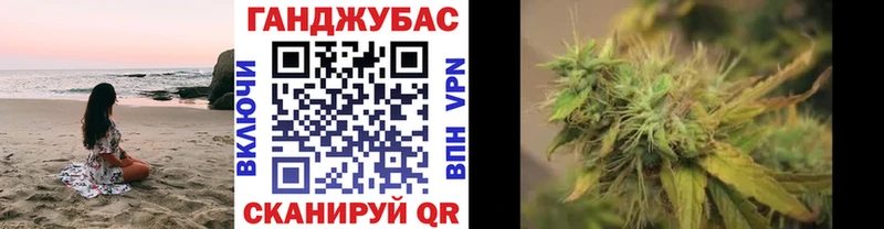 Купить где  Туран  Марихуана ГИДРОПОН 