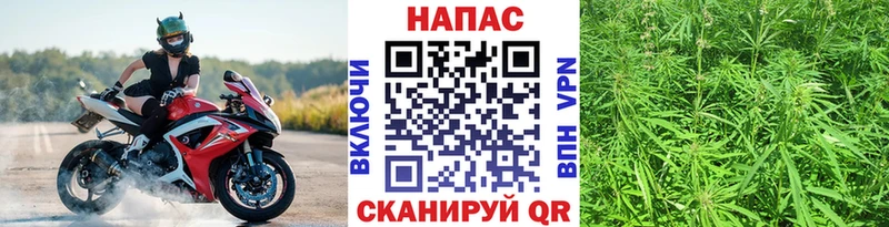 Каннабис VHQ Туран